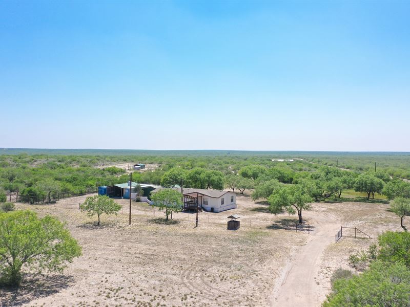Blacksheep Ranch : Freer : Duval County : Texas