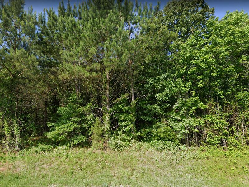 1 hr From Wilmington & Myrtle Beach : Whiteville : Columbus County : North Carolina