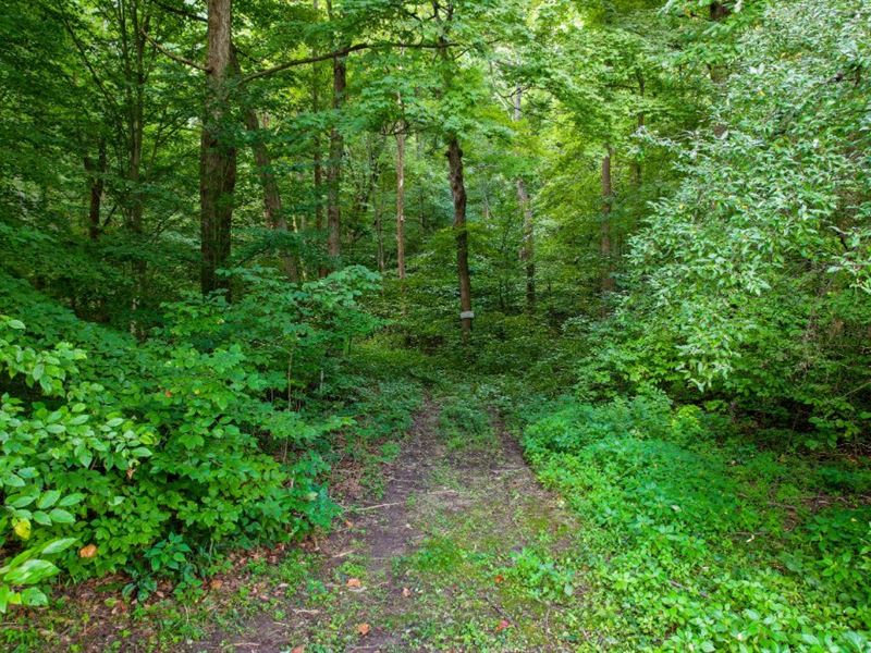 Quiet Forested Cul-De-Sac Homesite : Martinsville : Morgan County : Indiana