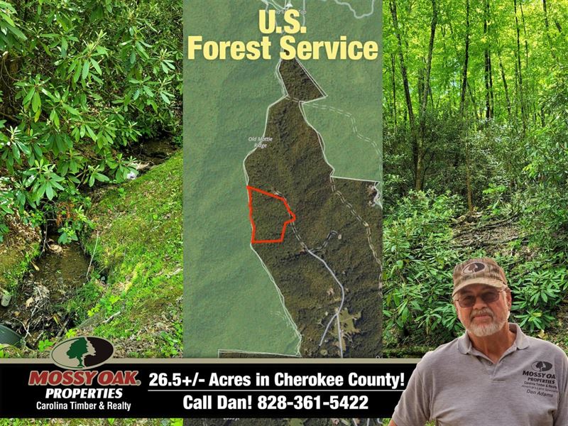 Usfs Boundary Creek Unrestricted 26 : Andrews : Cherokee County : North Carolina