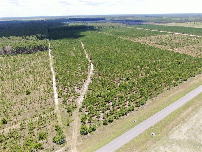 Vacant SE CR 255, Lee, FL 32059 : Lee : Madison County : Florida