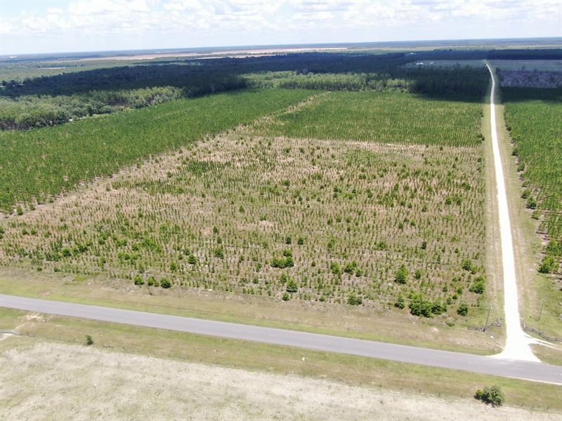 Vacant SE CR 255, Lee, FL 32059 : Lee : Madison County : Florida