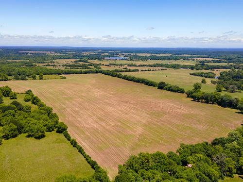 200+ Pecan Trees and Hay Pastures, Land for Sale in Oklahoma 