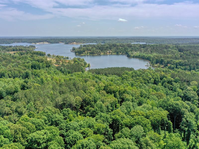 Private Recreational Retreat : Cedar Grove : Carroll County : Tennessee