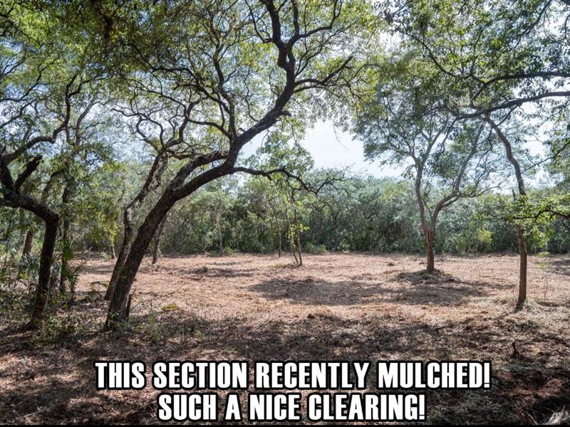 $9,900 Down, Amazing, Just Cleared : Keystone Heights : Clay County : Florida
