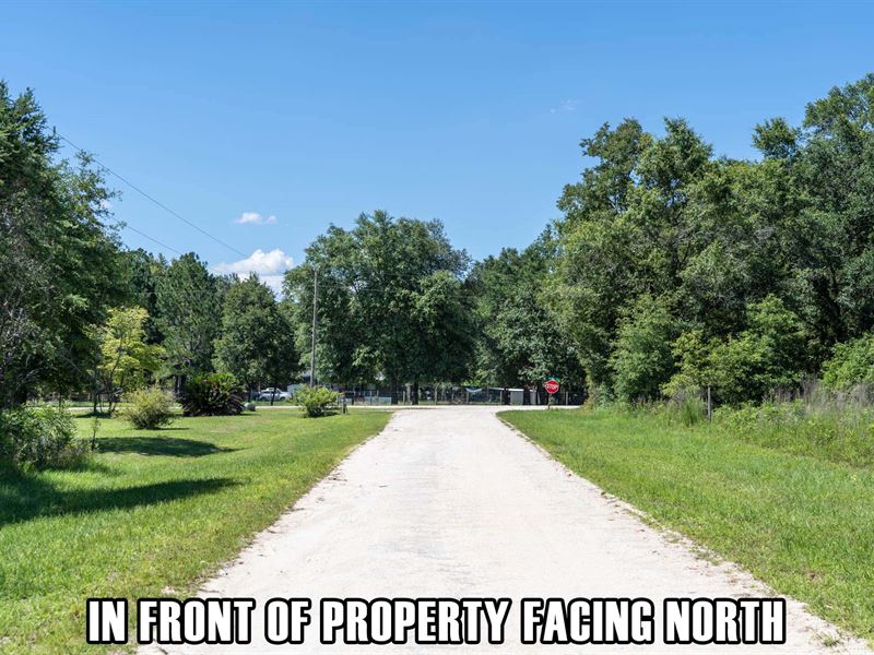 $9,900 Down, Great Quiet Area : Lake City : Columbia County : Florida