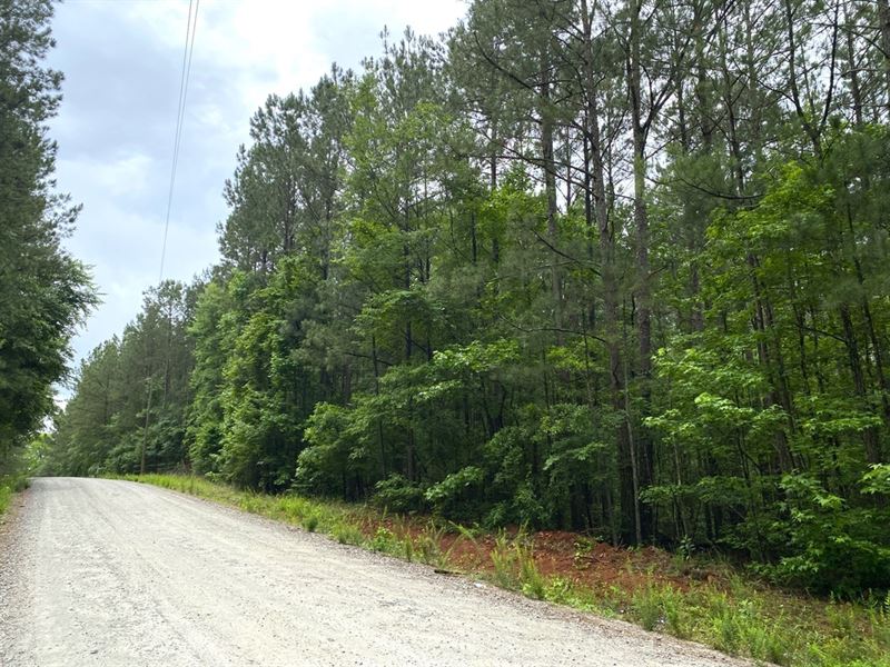 Shady Dale Homesite, Acreage Land for Sale in Shady Dale, Jasper