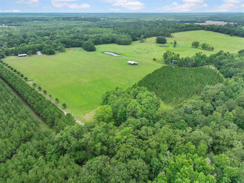 155 Ac. Dream Farm in North FL : Monticello : Jefferson County : Florida