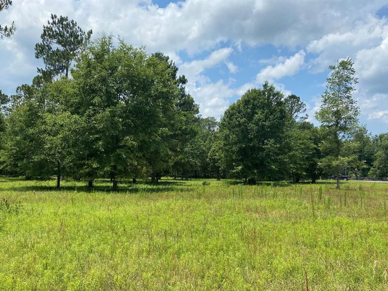 Jackson Heights Subdivision : Live Oak : Suwannee County : Florida