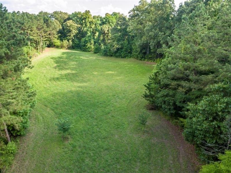 260 Acres Yazoo County : Bentonia : Yazoo County : Mississippi