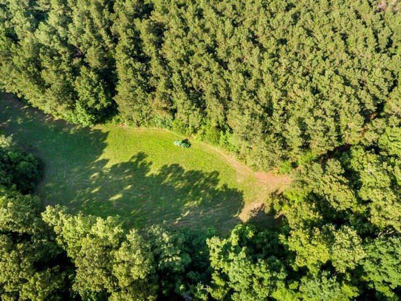220 Acres Yazoo County : Bentonia : Yazoo County : Mississippi