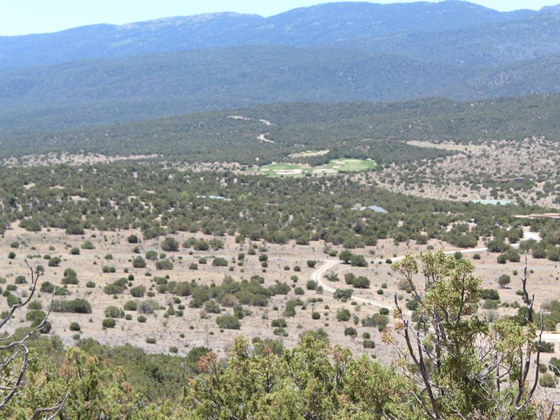 Gem on The Hill : Sandia Park : Sandoval County : New Mexico