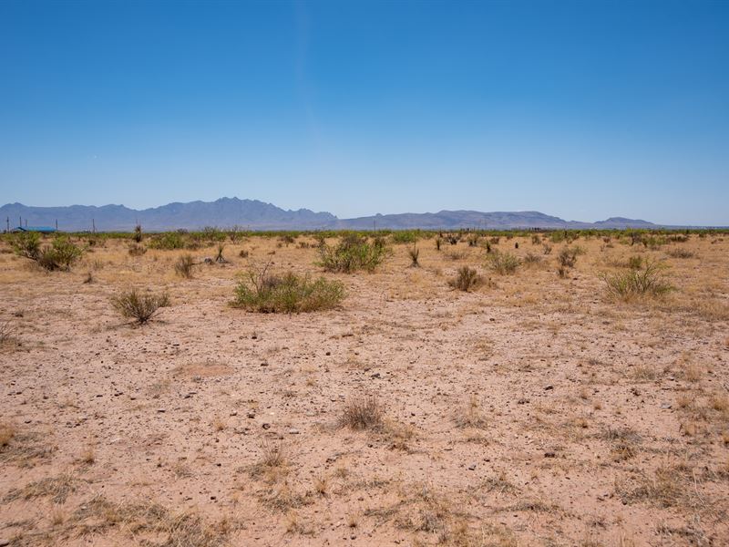 Corner Lot, RV Okay, Near Highway : Deming : Luna County : New Mexico