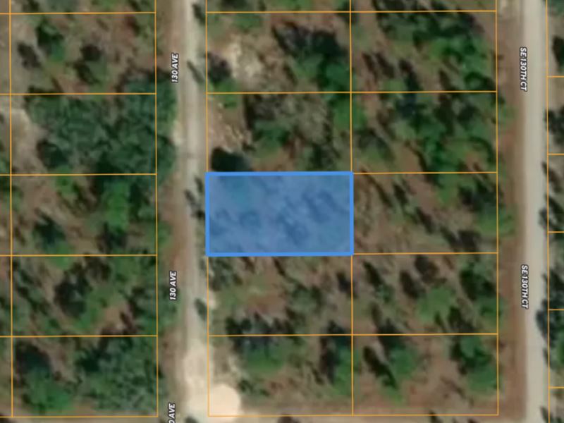 .26 Acre Building Lot Near Ocala : Dunnellon : Levy County : Florida