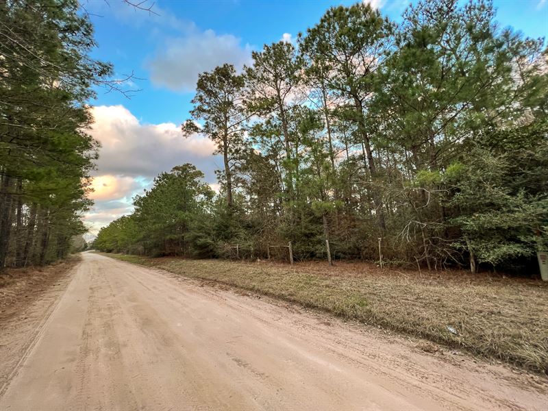 10 Acres, T-3 Loma Rd : Bedias : Walker County : Texas