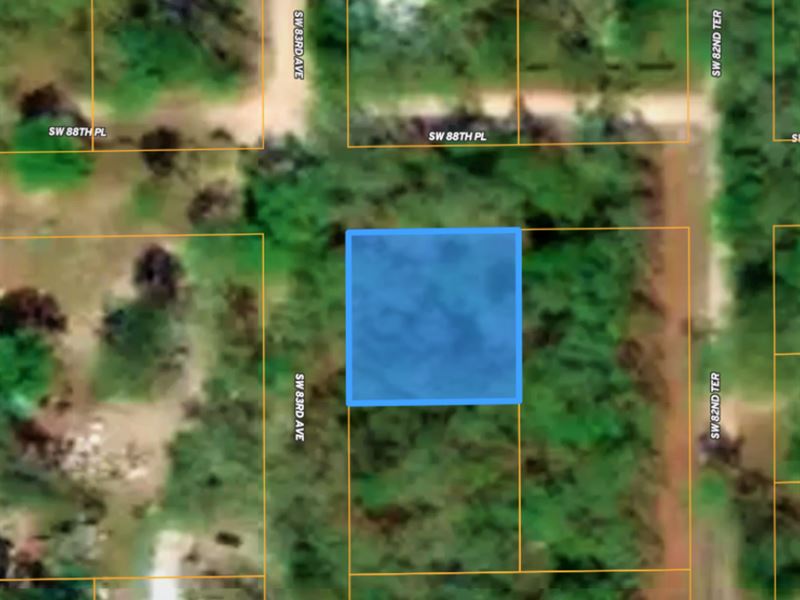Right Near Suwannee River : Trenton : Gilchrist County : Florida