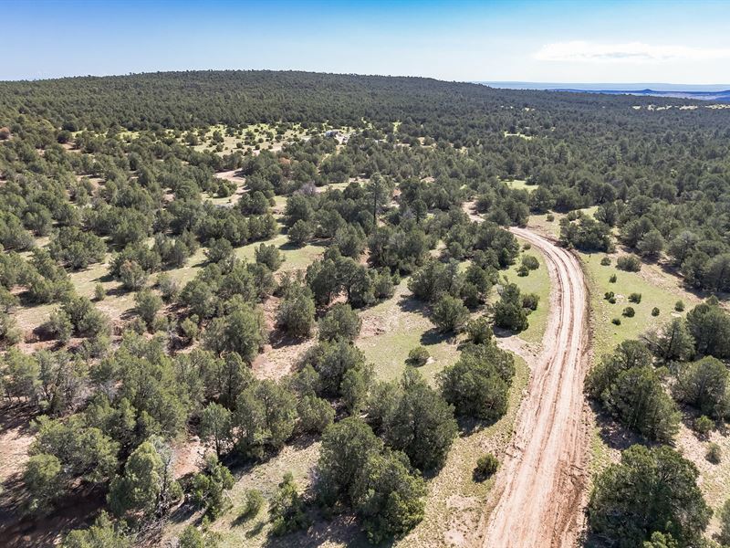 107.03 Acres of Prime Vacant Lot : Tijeras : Bernalillo County : New Mexico