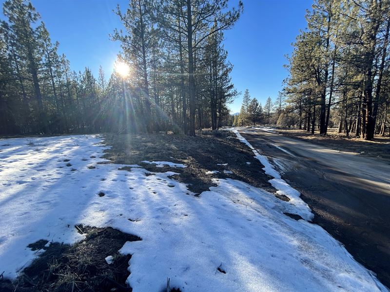 Beautifully Treed OR Parcel : Beatty : Klamath County : Oregon