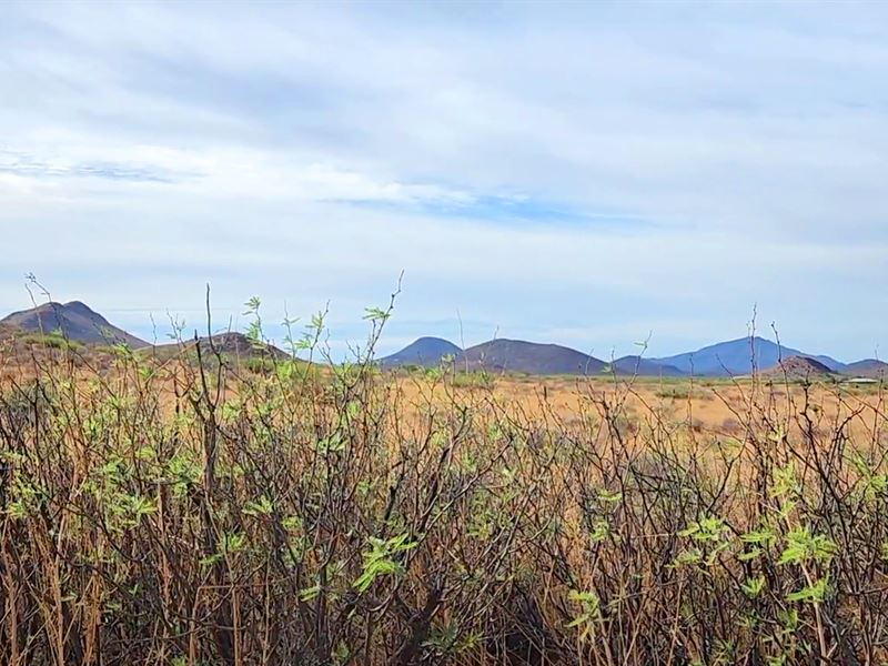Ideal 8 Ac with Mtn Views, Electric : Pearce : Cochise County : Arizona