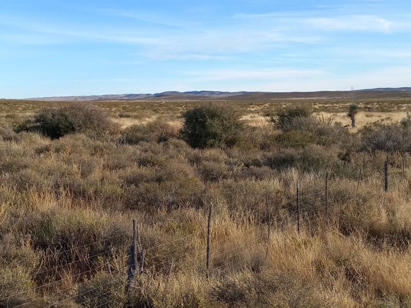40 Acre West Texas Ranch Property : Sierra Blanca : Hudspeth County : Texas