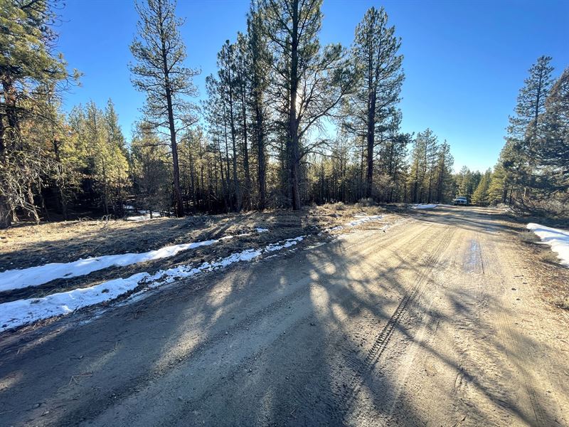Enjoy 360 Degree Mountain Views : Beatty : Klamath County : Oregon