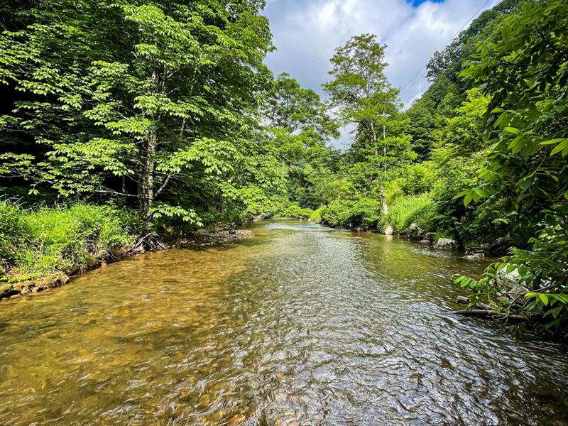 81.94 Acres Off Big Horse Creek : Lansing : Ashe County : North Carolina