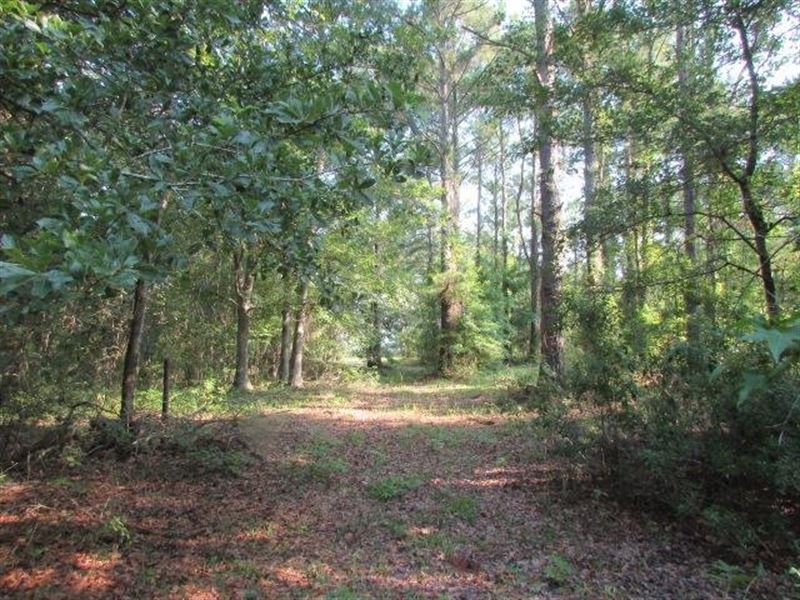 75 Acre Tract in Lowndes County, Land for Sale in 324212