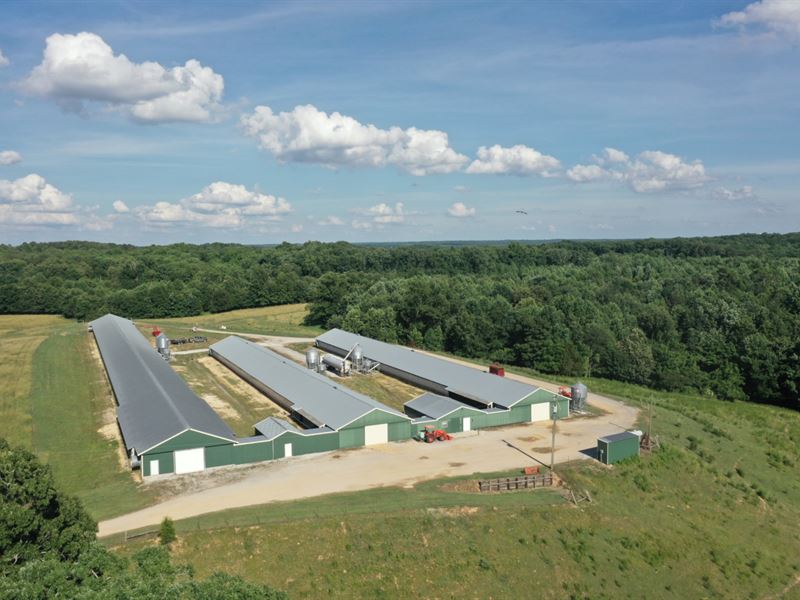 Jones Breeder Farm : Russellville : Franklin County : Alabama