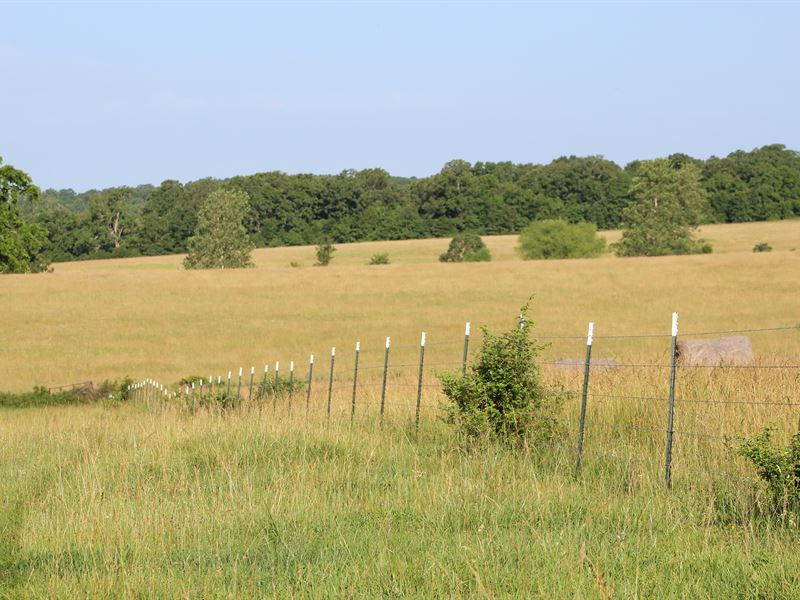 Southern Missouri Farm for Sale : Hartville : Wright County : Missouri