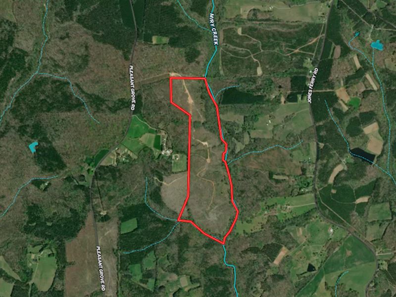 106 Acres of Hunt : Halifax : Halifax County : Virginia