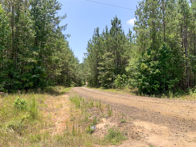 18 Acres, T-1 CR 443 : Kirbyville : Jasper County : Texas
