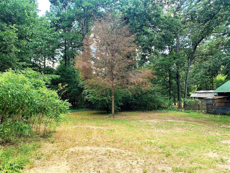 3504 Sqft Cleared RV / Mobile Lot : Bullard : Cherokee County : Texas