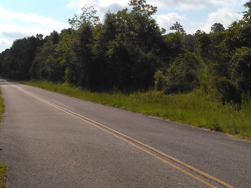 322 Acres in Paxton, FL, Land for Sale in Florida, 324417 LANDFLIP