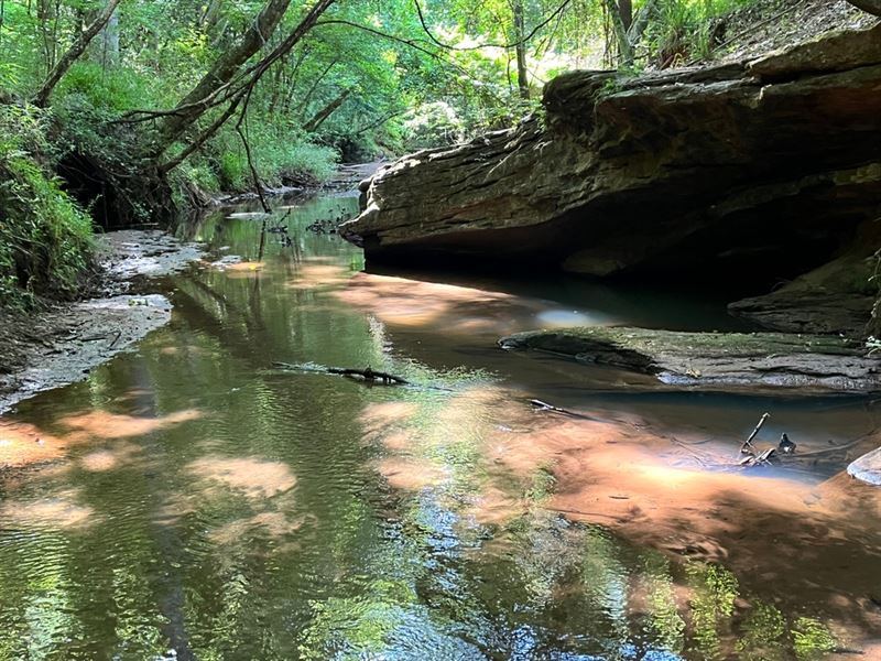 Perfect 62 Ac Homesite : Forsyth : Monroe County : Georgia