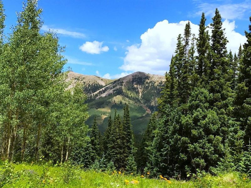 Whetstone Mountain Ranch : Gunnison : Gunnison County : Colorado