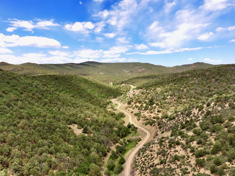 39.56 Ac in Las Animas County, CO : Trinidad : Las Animas County : Colorado