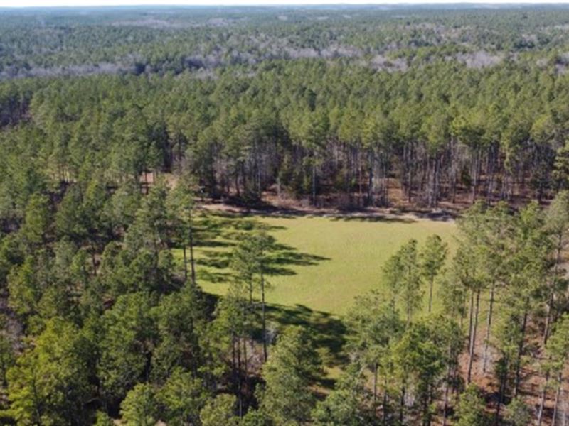Timber, Hunting, Homesite Property : Blackstock : Fairfield County : South Carolina