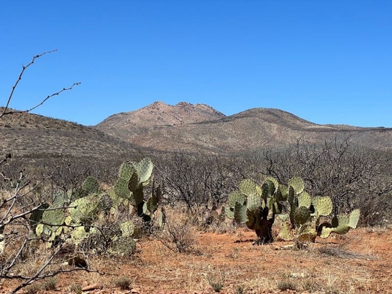 Off Grid Living in Douglas, AZ : Douglas : Cochise County : Arizona