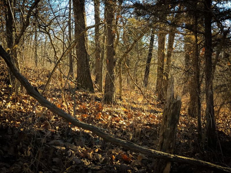 3.6 Ac Close to Some Creeks & Lakes : Edwards : Benton County : Missouri