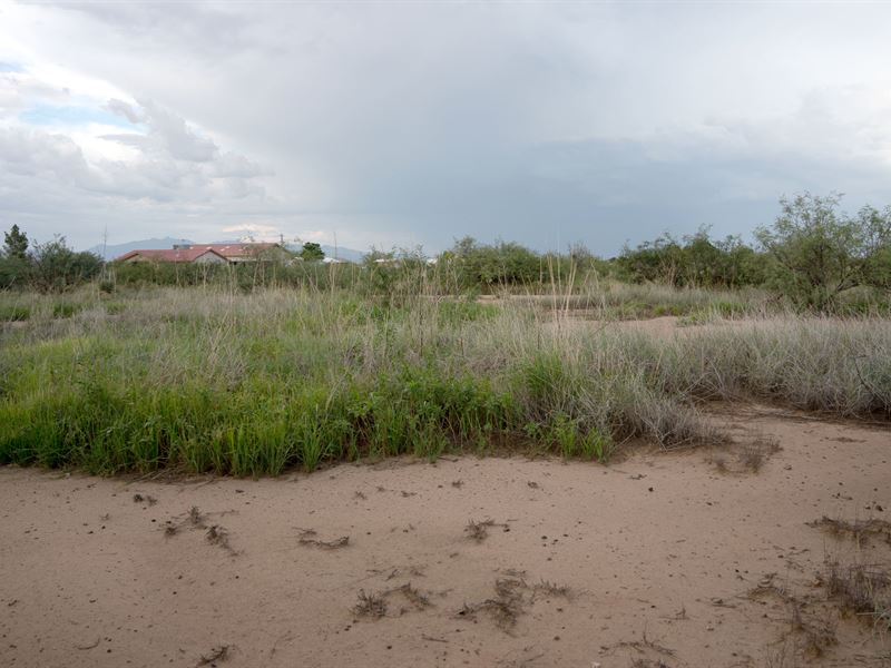Good Morning Columbus, Black Friday : Cochise : Cochise County : Arizona
