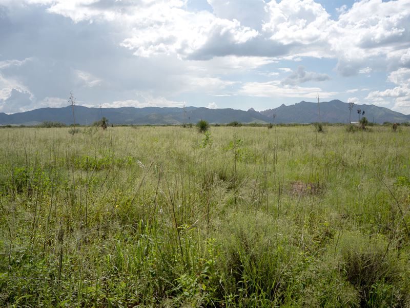 Land & Sky & Peace Live Near Pearce : Pearce : Cochise County : Arizona