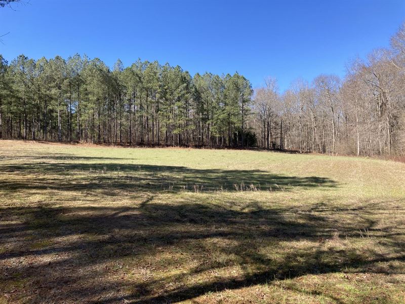 39.289 Acres with Creek Frontage : Madison : Morgan County : Georgia