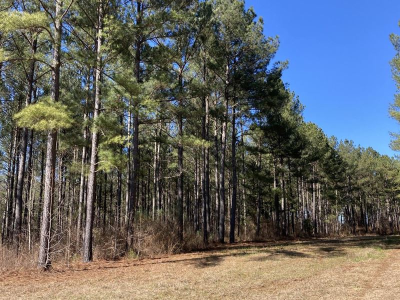 Price Improvement-Outdoorsman's Par : Madison : Morgan County : Georgia