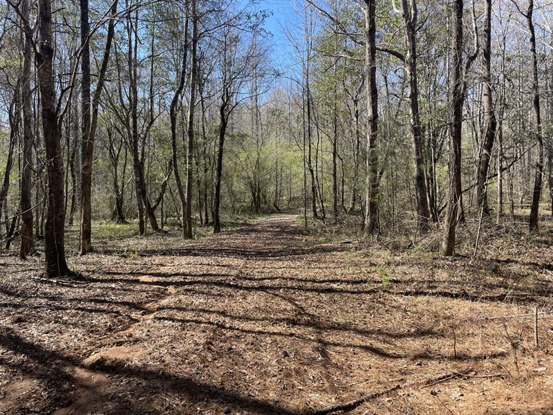 Pine Ridge Estates Lot 2. 9 Ac : Lanett : Chambers County : Alabama