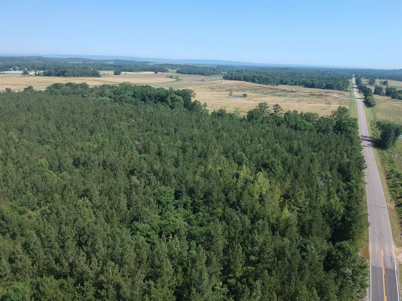 21 Ac. on County Road 19 : Piedmont : Cherokee County : Alabama