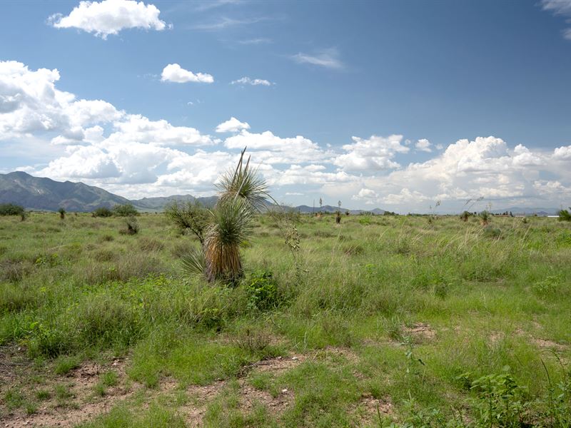 Allowed RV and Cleared 0.83 Ac, AZ : Pearce : Cochise County : Arizona