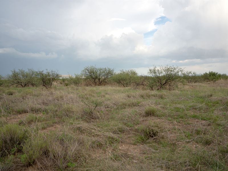 Desert Mtn Views, Bring RV, 1.07 ac : Cochise : Cochise County : Arizona