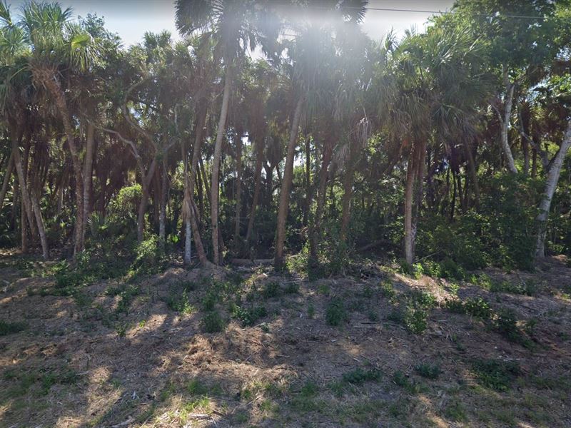 Live it Up in Charlotte County, FL : Port Charlotte : Charlotte County : Florida
