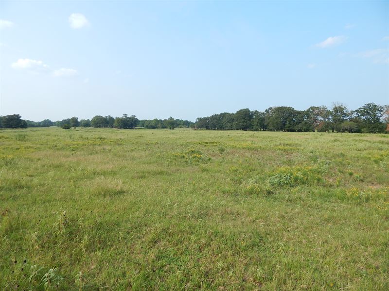 No Restriction Land for Sale : Bogata : Red River County : Texas