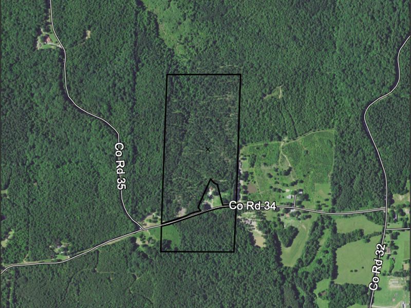 Hudson Tract : Thaxton : Union County : Mississippi